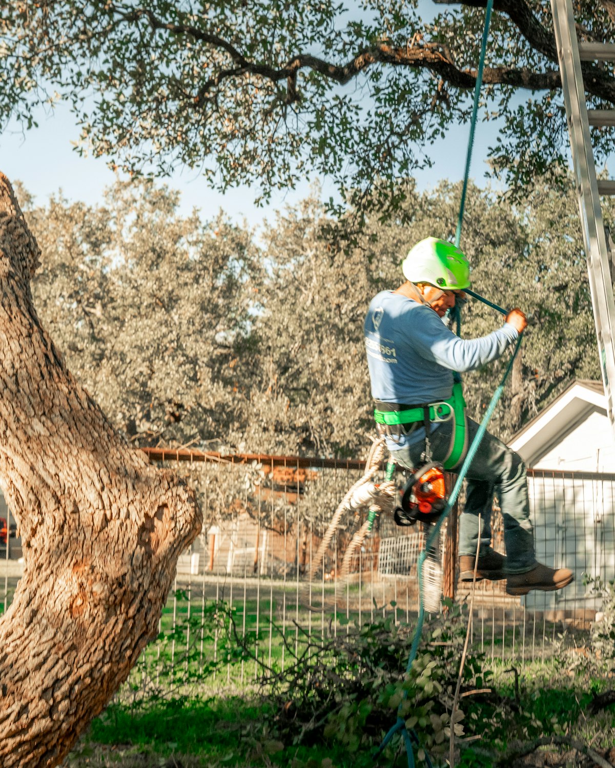 Élagueur au travail dans un grand arbre à Aix-en-Provence